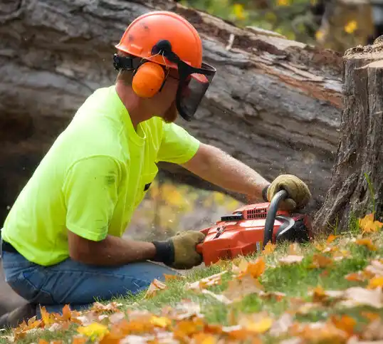 tree services Wrightsboro